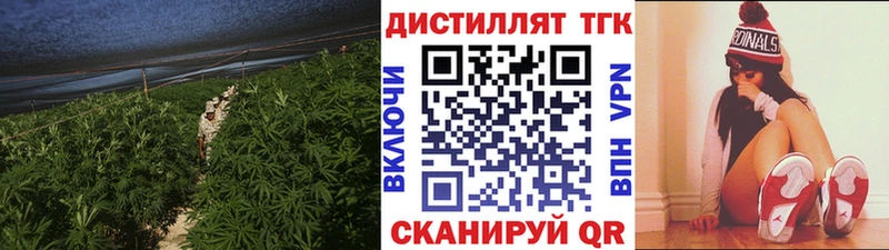 где продают наркотики  Ревда  МЕГА как войти  Дистиллят ТГК вейп с тгк 