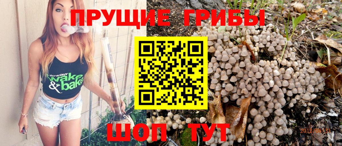 Псилоцибиновые грибы Magic Shrooms  Вход с VPN  Псилоцибиновые грибы GOLDEN TEACHER  Ревда 